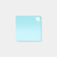 Weiße Amaryllis-Blume auf hellblauen Post-it-Notiz