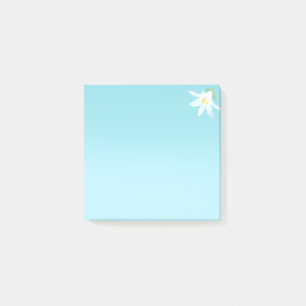 Weiße Amaryllis-Blüte auf hellblauen Post-it-Notiz Post-it Klebezettel