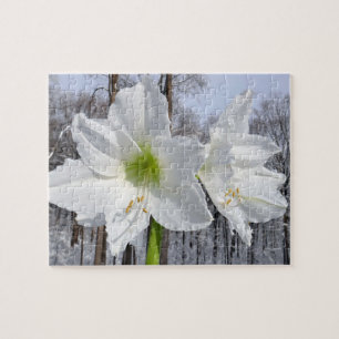 Weiße Amaryllis und Schnee II Puzzle