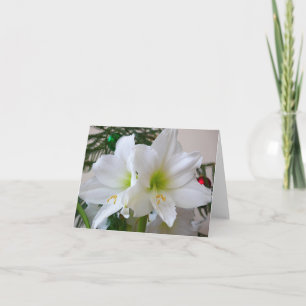 Weiße Amaryllis und Weihnachtsbaum Feiertagskarte