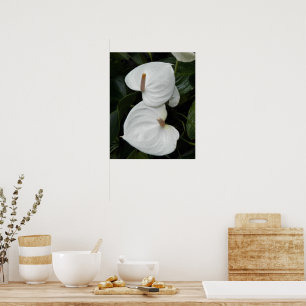 Weisse Anthurienblüten Fotografisch Poster
