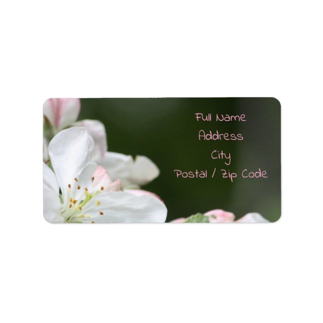 Weiße Apfelblüte Adressaufkleber (Vorne)