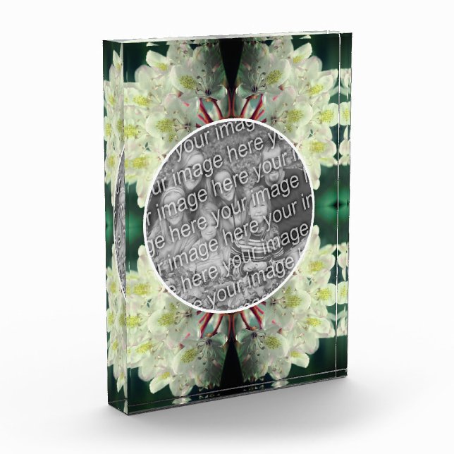 Weiße Azalea Blume Fotoblock (Links)