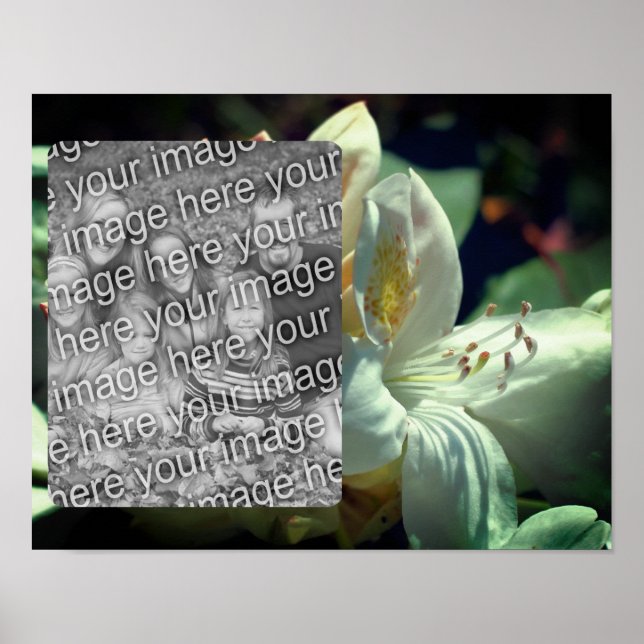 Weiße Azalea Blume Rahmen hinzufügen Foto Poster (Vorne)
