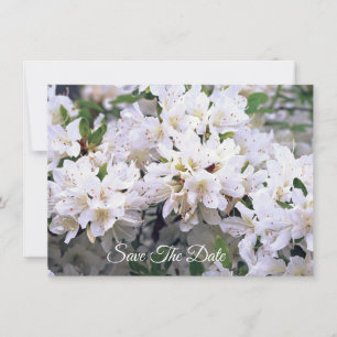 Weiße Azalea Flat Save the Date Karte