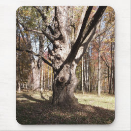 Weiße Bäume Mousepad