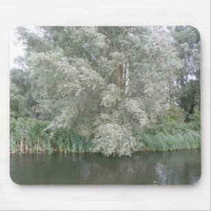 Weiße Bäume und Flusslandschaft Mousepad