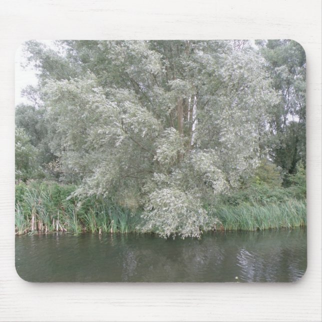 Weiße Bäume und Flusslandschaft Mousepad (Vorne)