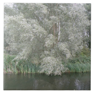 Weiße Bäume und Flusslandschaften Fliese