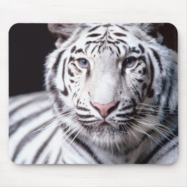 Weiße Bengal-Tiger-Mauspad Mousepad (Vorne)