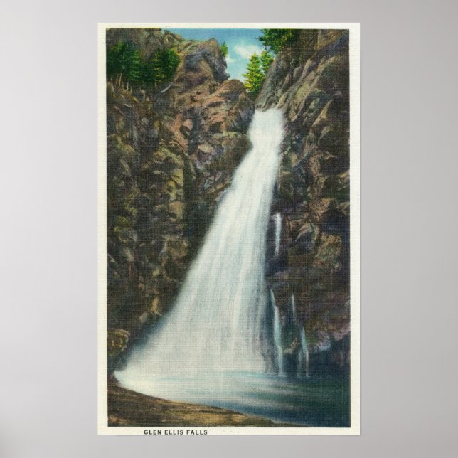 Weiße Berge Nat'l Forest Poster (Vorne)