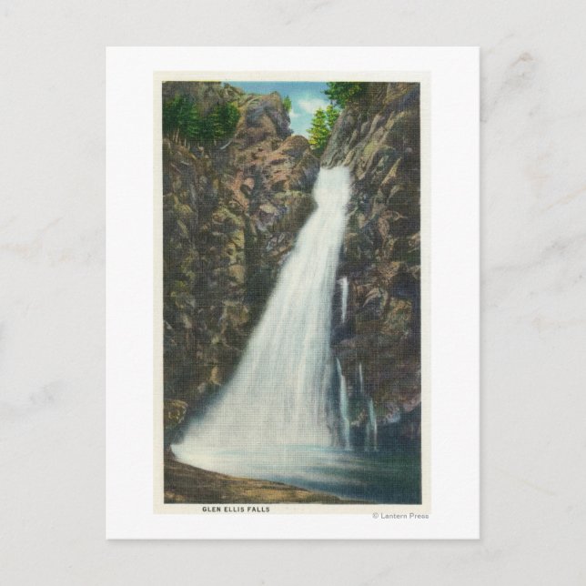 Weiße Berge Nat'l Forest Postkarte (Vorderseite)