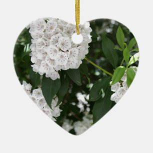 Weiße Berglorbeer sternförmige Blüten Keramik Ornament