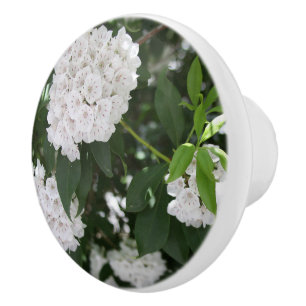 Weiße Berglorbeerblüten Keramikknauf