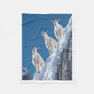 Weiße Bergziegen auf schneebedeckter Felswand Flee Fleecedecke