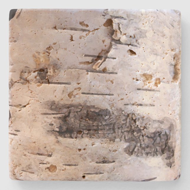 Weiße Birch Tree Bark Steinuntersetzer (Vorderseite)