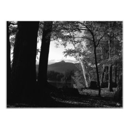 Weiße Birke in einem Chocorua Sunset Open Edit. Dr Fotodruck