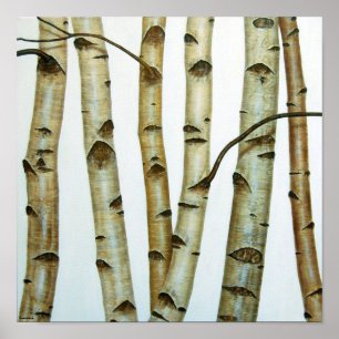 Weiße Birken Poster