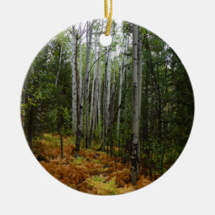 Weiße Birken und Herbstfarne in den Rocky Mountain Keramik Ornament