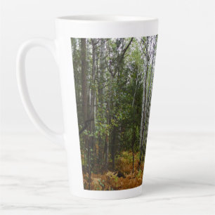 Weiße Birken und Herbstfarne in den Rocky Mountain Milchtasse