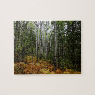 Weiße Birken und Herbstfarne in den Rocky Mountain Puzzle