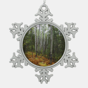 Weiße Birken und Herbstfarne in den Rocky Mountain Schneeflocken Zinn-Ornament