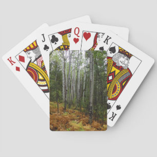 Weiße Birken und Herbstfarne in den Rocky Mountain Spielkarten