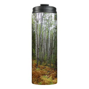 Weiße Birken und Herbstfarne in den Rocky Mountain Thermosbecher
