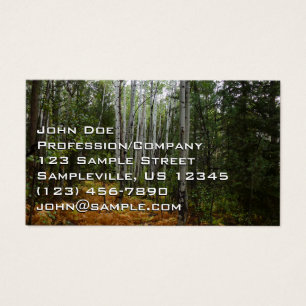 Weiße Birkenbäume und Herbst-Fernen am Rocky Mount