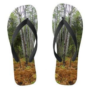 Weiße Birkenbäume und Herbst-Fernen am Rocky Mount Flip Flops