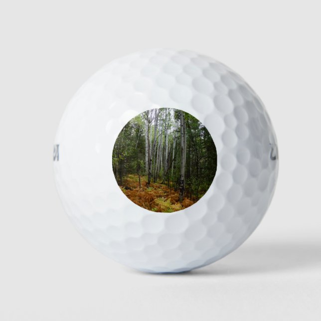 Weiße Birkenbäume und Herbst-Fernen am Rocky Mount Golfball (Vorderseite)