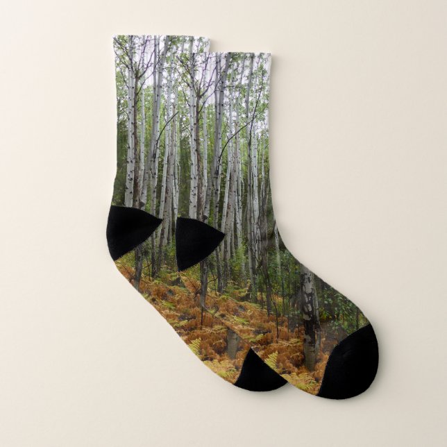 Weiße Birkenbäume und Herbst-Fernen am Rocky Mount Socken (Paar)