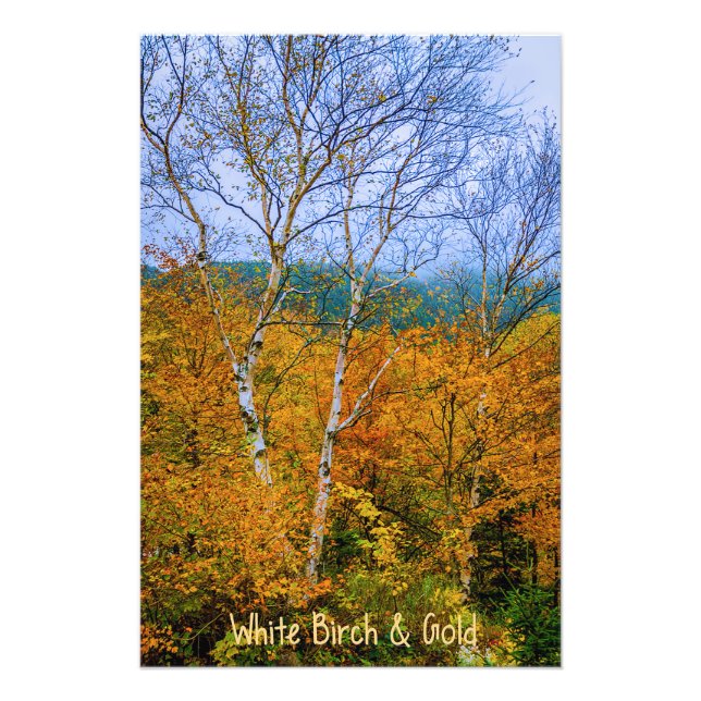 Weiße Birne und Gold Fotodruck (Vorne)