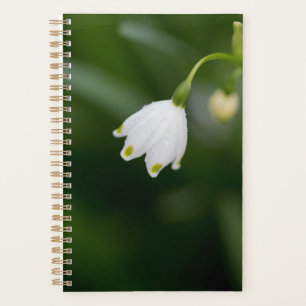 Weiße blühende Blume Grün eleganter Planer