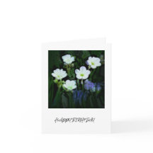 WEISSE BLUME BIRTHDAY CARD