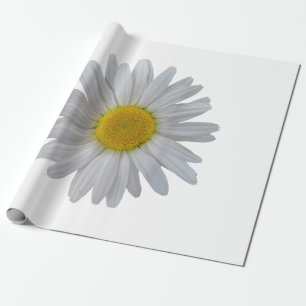 Weiße Blume, blühende Blüte, Blüten, Blume Geschenkpapier