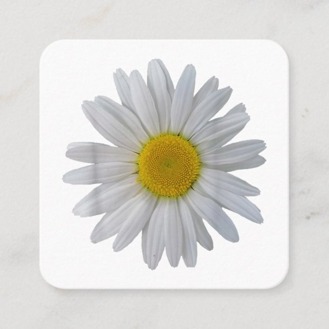 Weiße Blume, blühende Blüte, Blüten, Blume Quadratische Visitenkarte (Vorderseite)