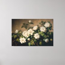 Weiße Blume, Blumenkunst, Blumenrosa