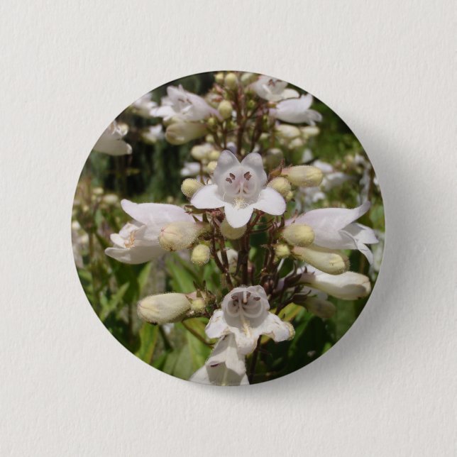 Weiße Blume Button (Vorderseite)