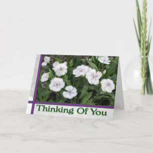 weiße Blume denken an dich Karte