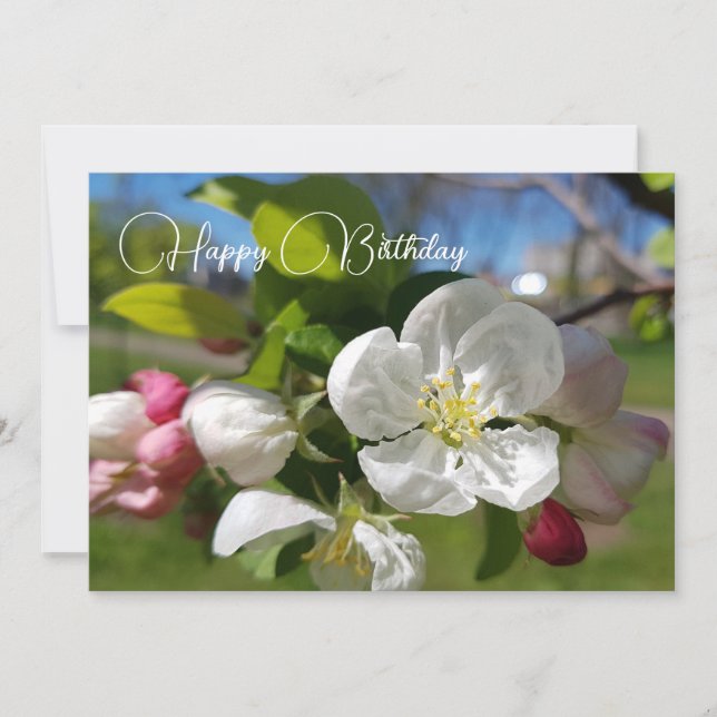 Weiße Blume eines Apfelbaumes. Happy Birthday Einladung (Vorderseite)