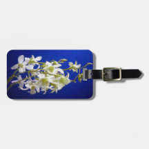 Weiße Blume gegen den blauen Himmel