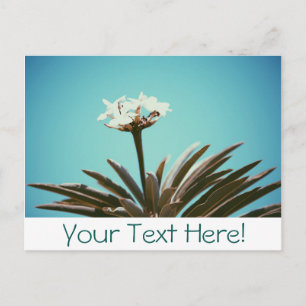 Weiße Blume Grüne Pflanze Stilvolle Postkarte