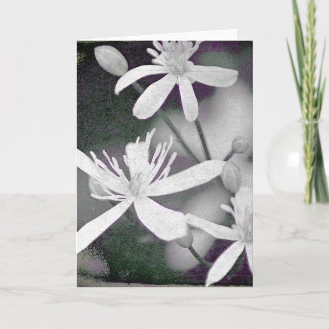 Weiße Blume Karte (Vorderseite)