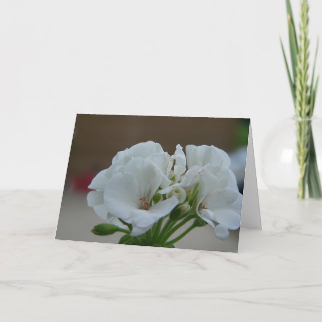 Weiße Blume Karte (Vorderseite)