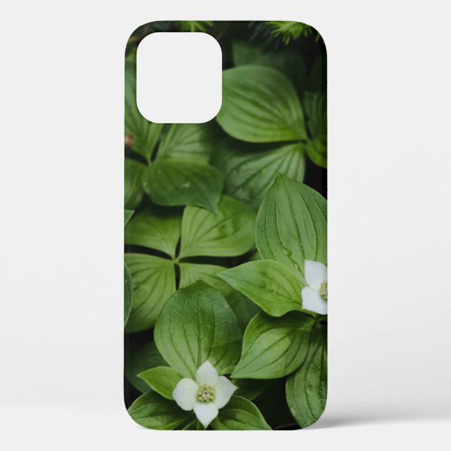 WEISSE BLUME MIT GRÜNEN BLÄTTER Case-Mate iPhone HÜLLE (Rückseite)