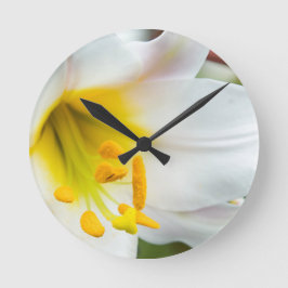 Weiße Blume Nah Runde Wanduhr