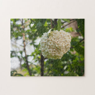 Weiße Blume Naturfotografie Garten Puzzle