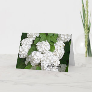 Weiße Blume nur für die Karte