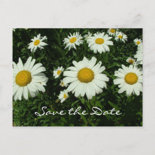 Weiße Blume, Save the Date Ankündigungspostkarte